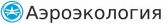 ООО 